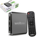 Android Tv Box Uydu Alıcı 16GB 4K Wellbox Max-2  R41