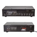 Anfi 80 Watt Mono Bt Pc Mic Usb Sd 12v 220v 2 Mikrofon Girişli Rose FR-2001W