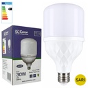 Tourch Led Ampul 220v 30w Gün Işığı E27 2700LM CA-30G